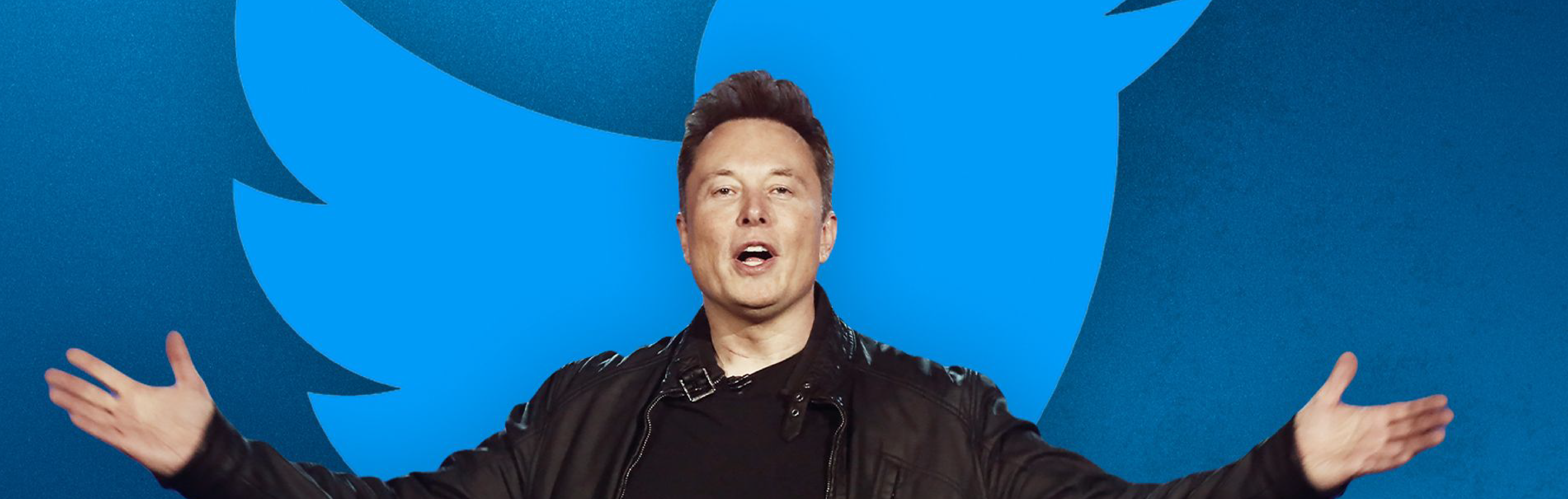 How and Why Did Elon Musk Buy Twitter